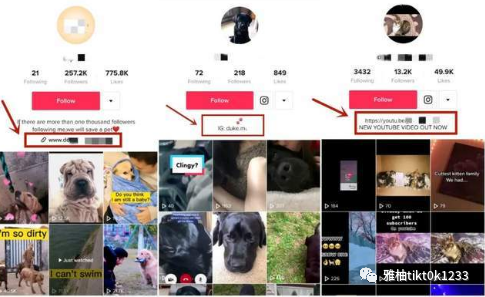 TikTok快速涨粉:主页装修6要素,如何3天破万粉?