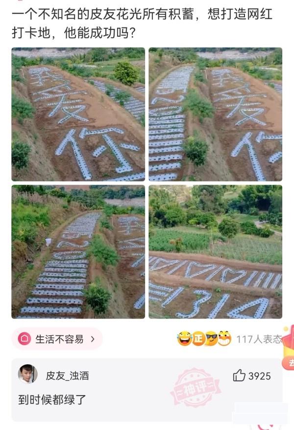 神回复|神回复：发现一个规律，娱乐圈名字带波的人，好像都不走运呢？