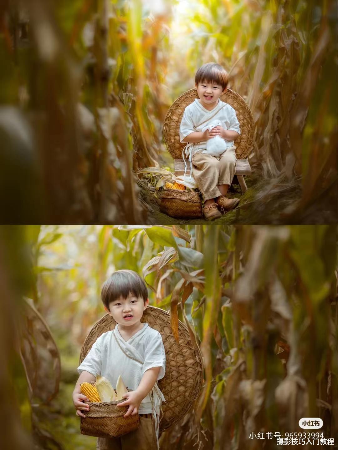 摄影技巧:玉米地怎么拍照好看?摄影博主的经验分享,太实用了