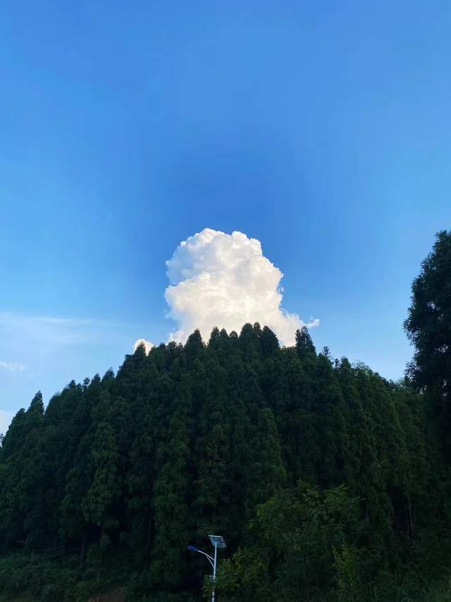 沦落人|同是他乡沦落人，相逢何必曾相识