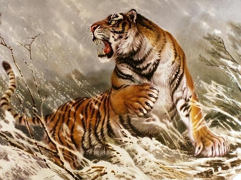曾流窜两国害死436人,老虎为何突然“食人”?击毙后才找到真相