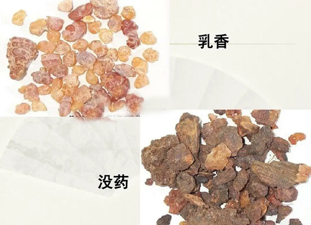 茉莉|走近中药：乳香和没药被称为“外科要药”，这些不同要掌握