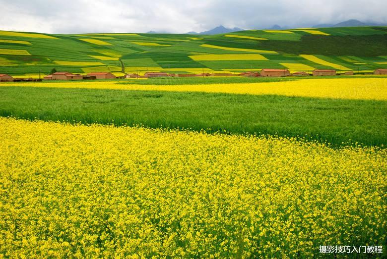 摄影技巧：春季油菜花拍照全攻略，真是太美了