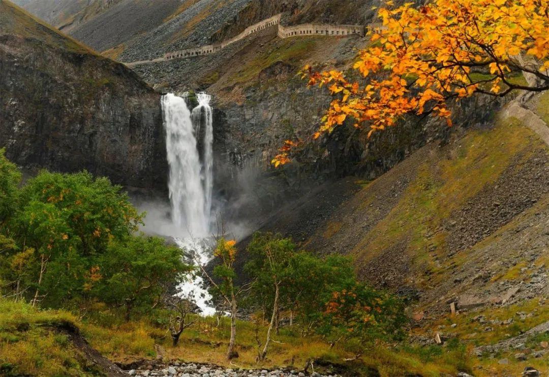 长白山|一个夏天都没出门?不如做一回“第一个看秋色的人”,可好?