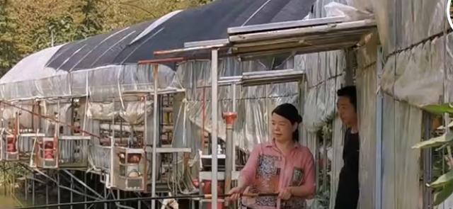 许敏|感动人心一周年的日子,谁还在幻想送许敏进去