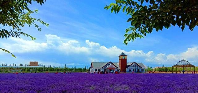 宜宾|这是一趟开往新疆的列车，出发吧！来一场此生无憾的旅行！