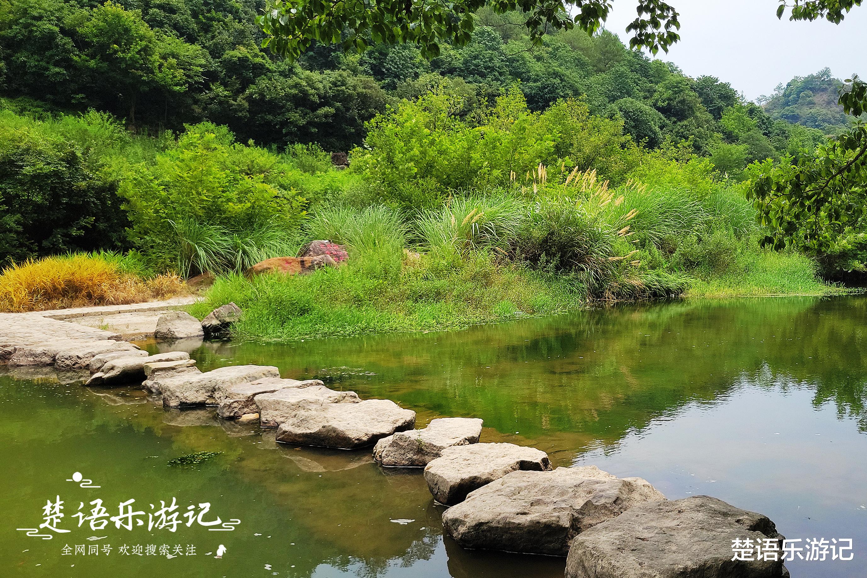|新昌这个村因一民宿而出名，是山野里的乌托邦？真实情况原来这样