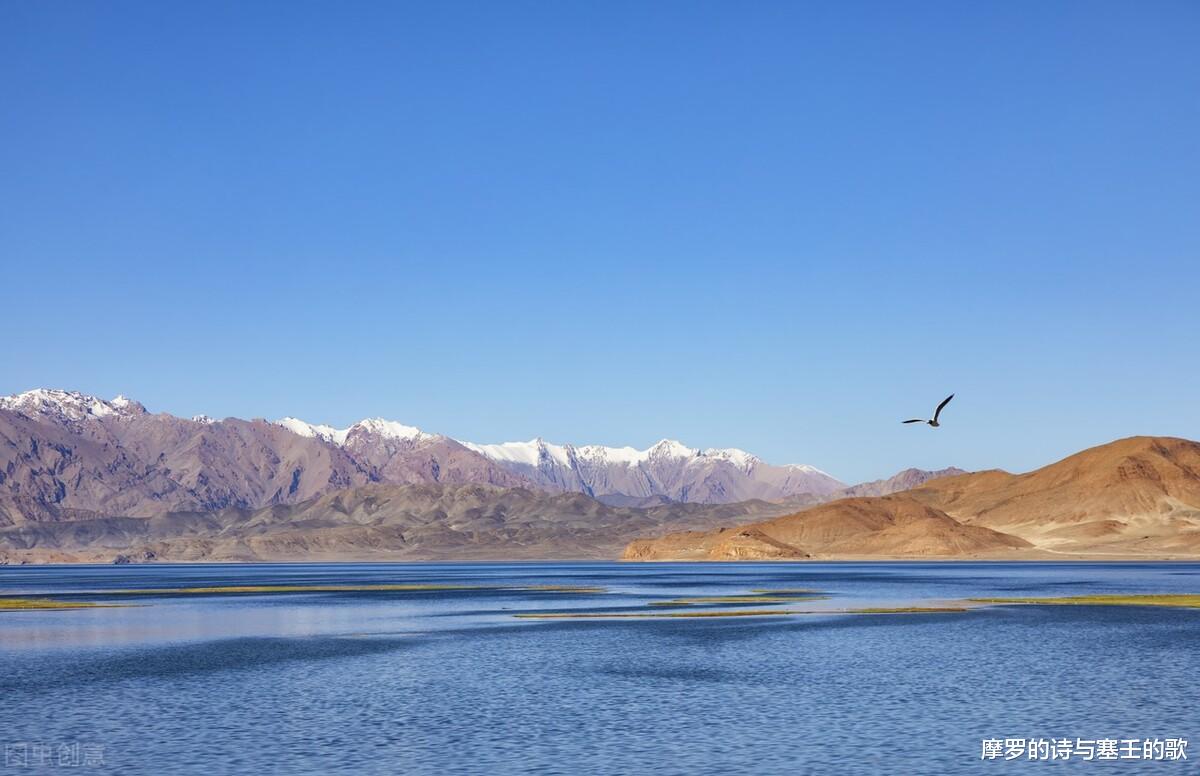 镜子|贾浅浅诗歌《镜子》赏析,你跳进了我的湖搅动