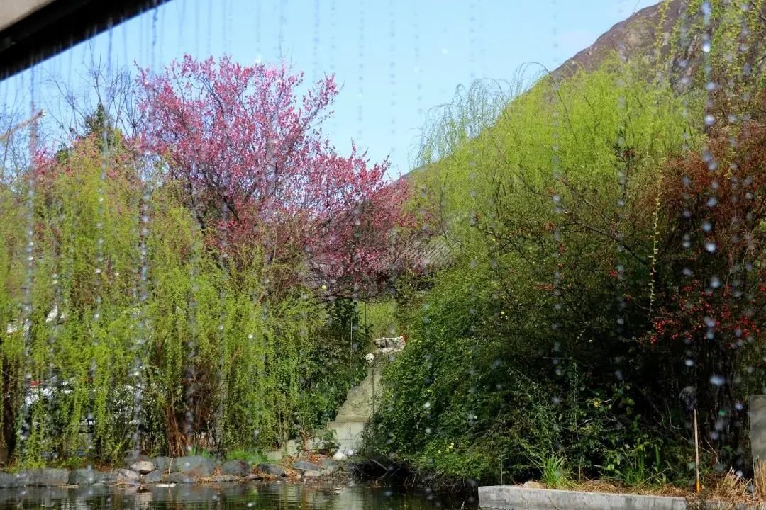 汶川|全域旅游进行时·汶川 | 咔嚓，定格你眼中的无忧四季