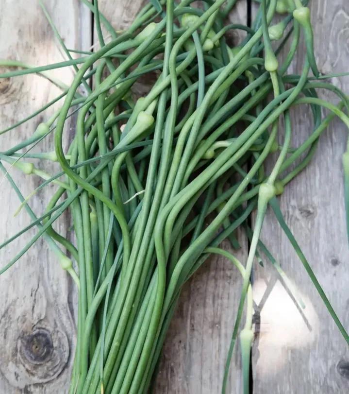 为何大蒜在超市里不发芽，买回家放几天就发芽？原来有这么多门道