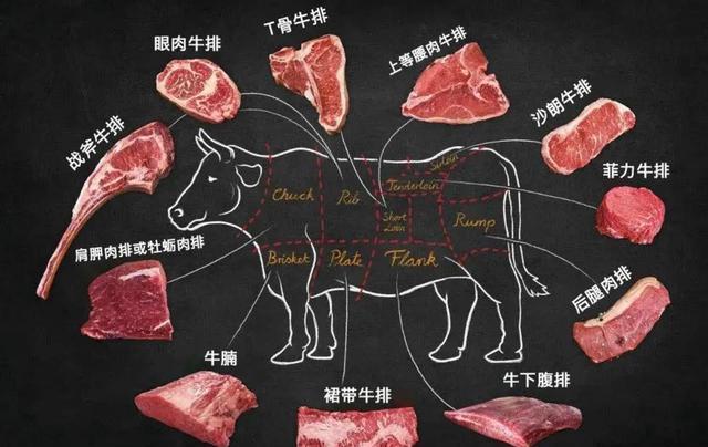 比利时蓝牛一天长3斤肉,是人类改造的“畸形”产物,在我国很少