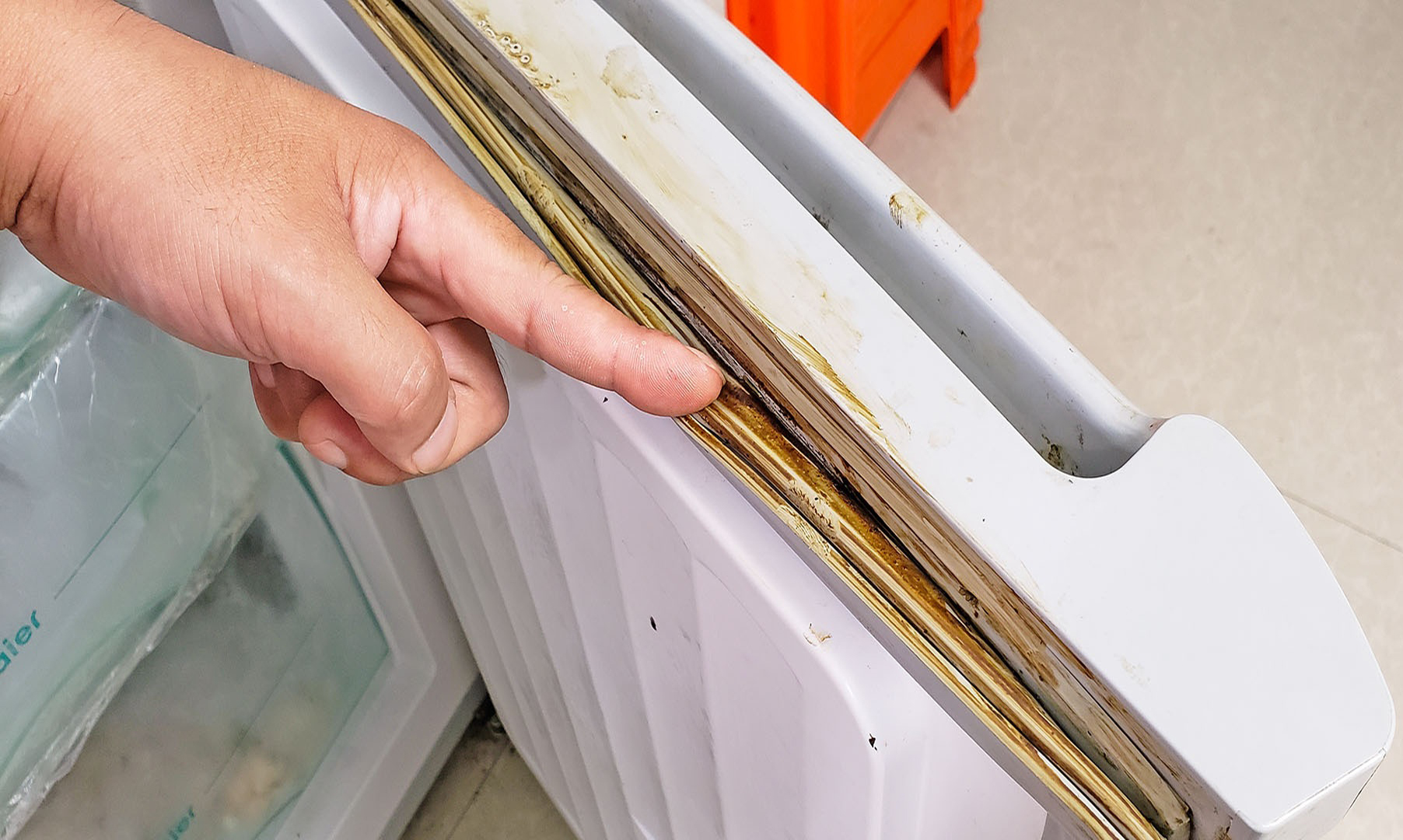 天一热,家里墙壁四处发霉?别担心,教你2个小妙招,霉菌自动消失