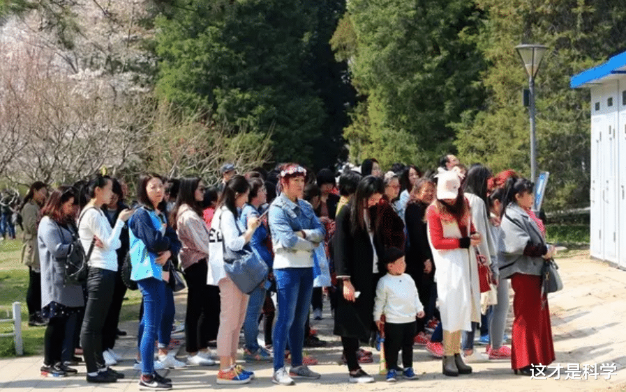 国外马桶圈留个缺口,这样的设计,是别出心裁还是画蛇添足