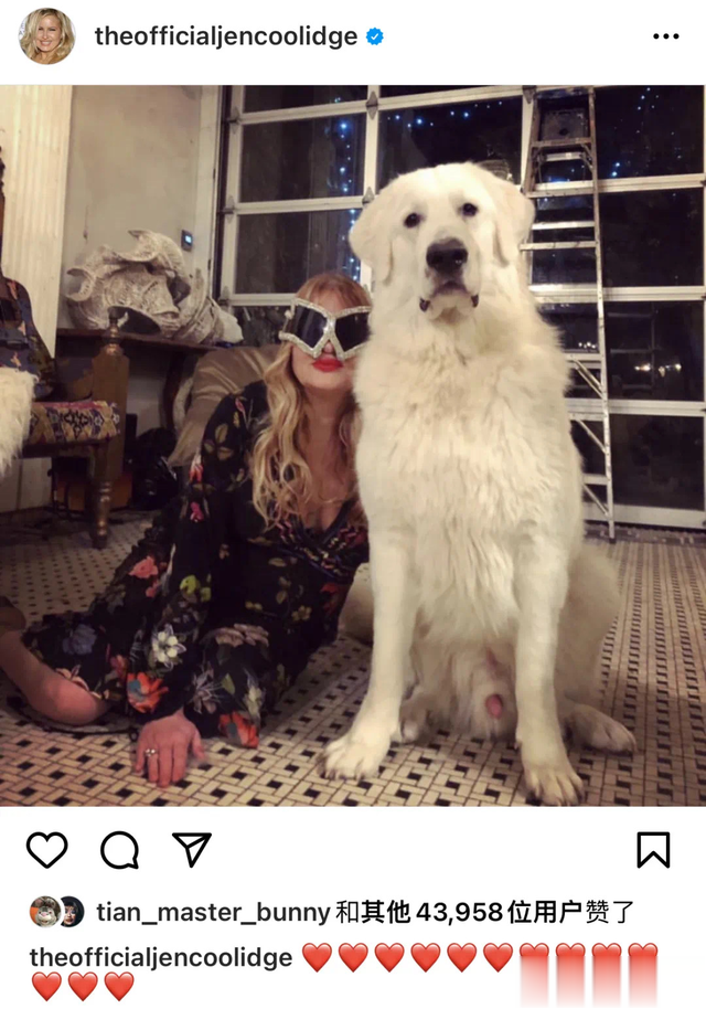 肖战|豆瓣8.0分!最被低估的喜剧天才,终于借《白莲花度假村》正名!