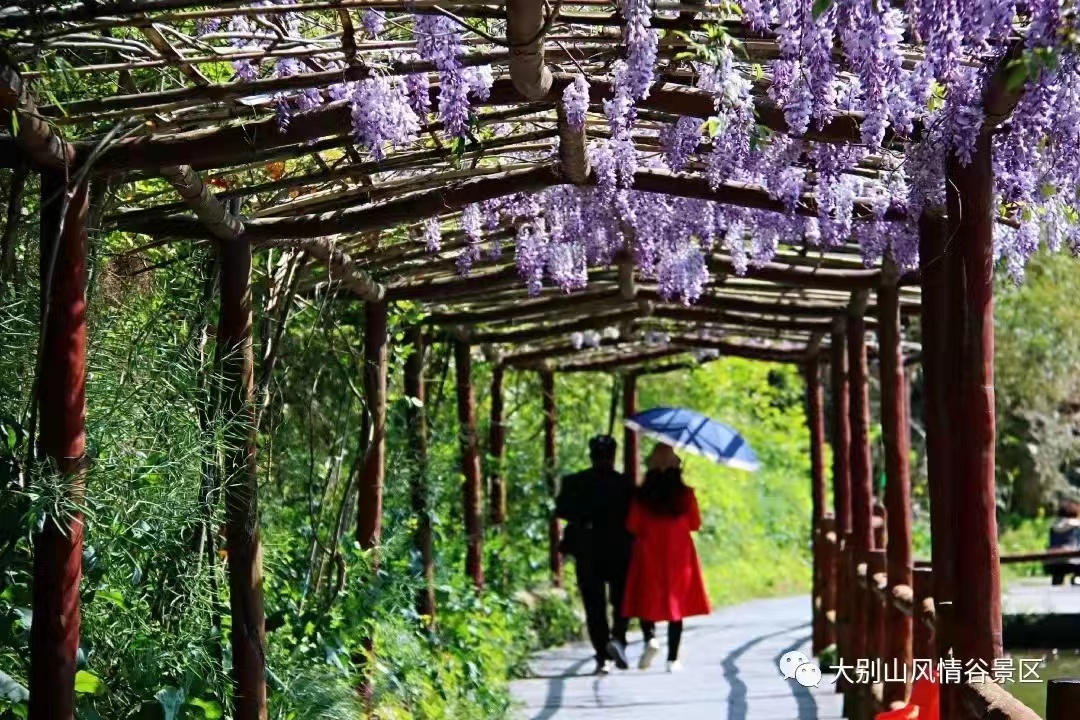 宝鸡|庆3.8妇女节，大别山石窟、风情谷景区免除门票