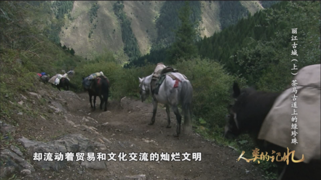 金石滩|茶马古道上的绿珍珠