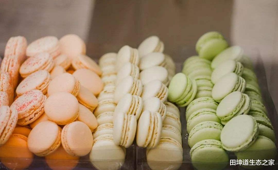 网红脸|田坤道|无糖食品真的能帮助减肥吗?效果有限,可能还会有副作用