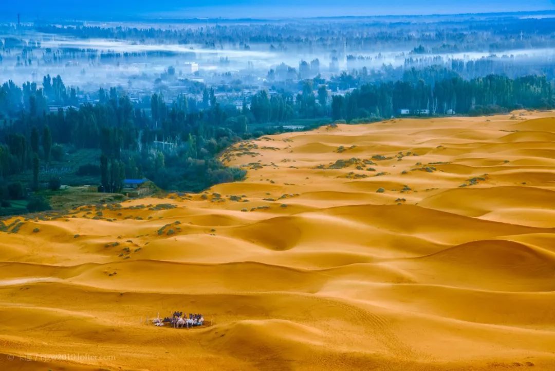 消费券|2022年的夏天,应该没有人不想去新疆吧