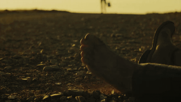 王志文|才2集卫视收视第一，王志文让观众成功入坑，北京卫视拿到了王牌