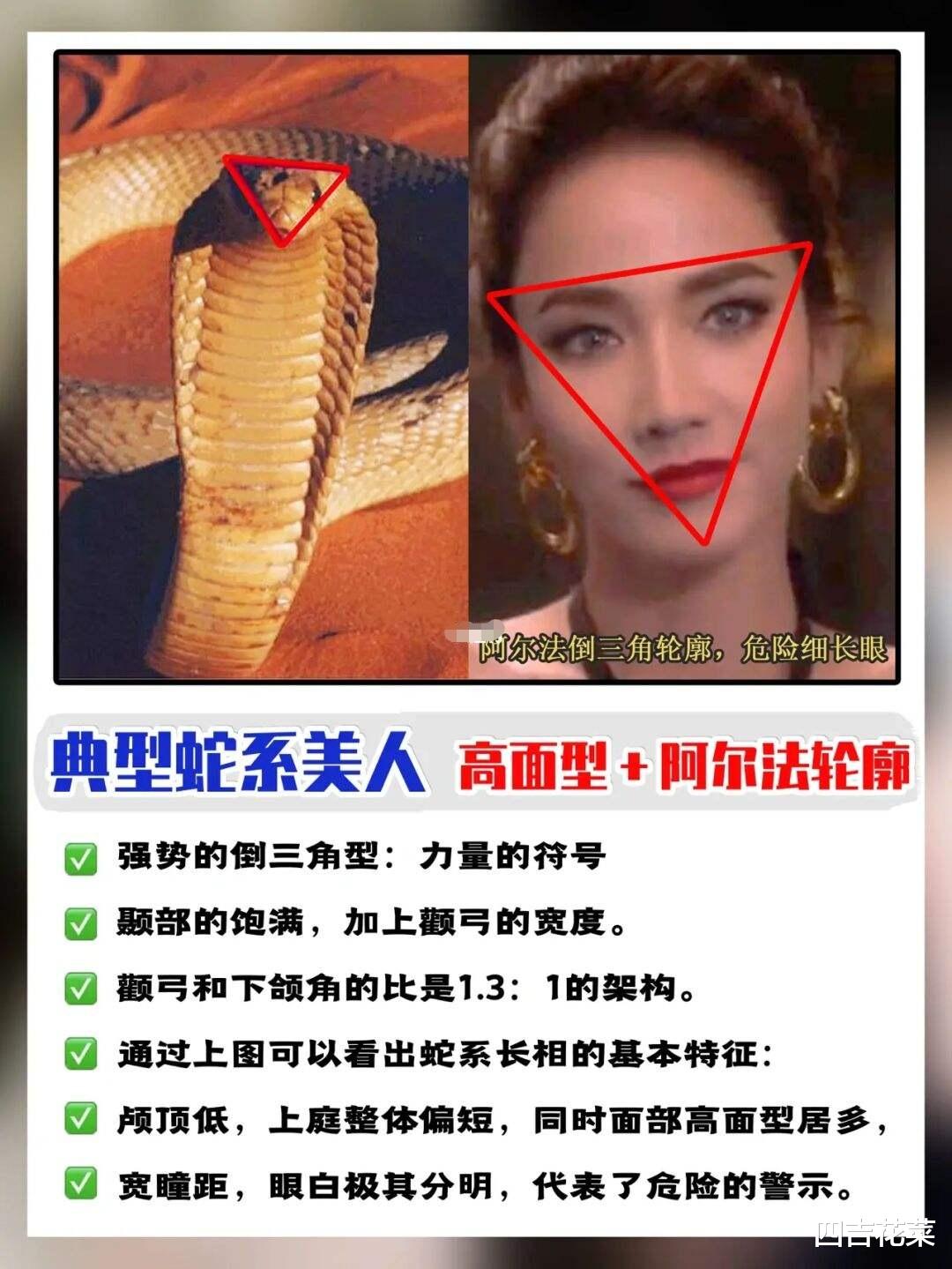 安宥真 “蛇系”安宥真，“猫系”黄礼志，韩国女爱豆开始有“攻击性”了