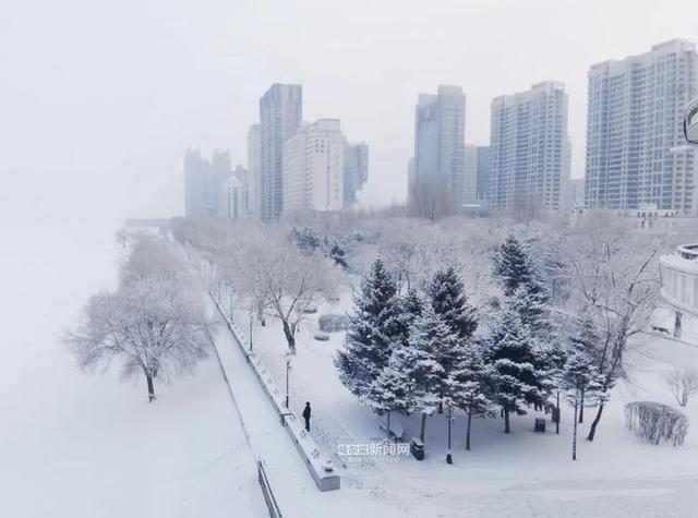 雪容融|下雪了，满街都是“雪容融”｜冰城人已经在冰场、雪地撒欢儿了