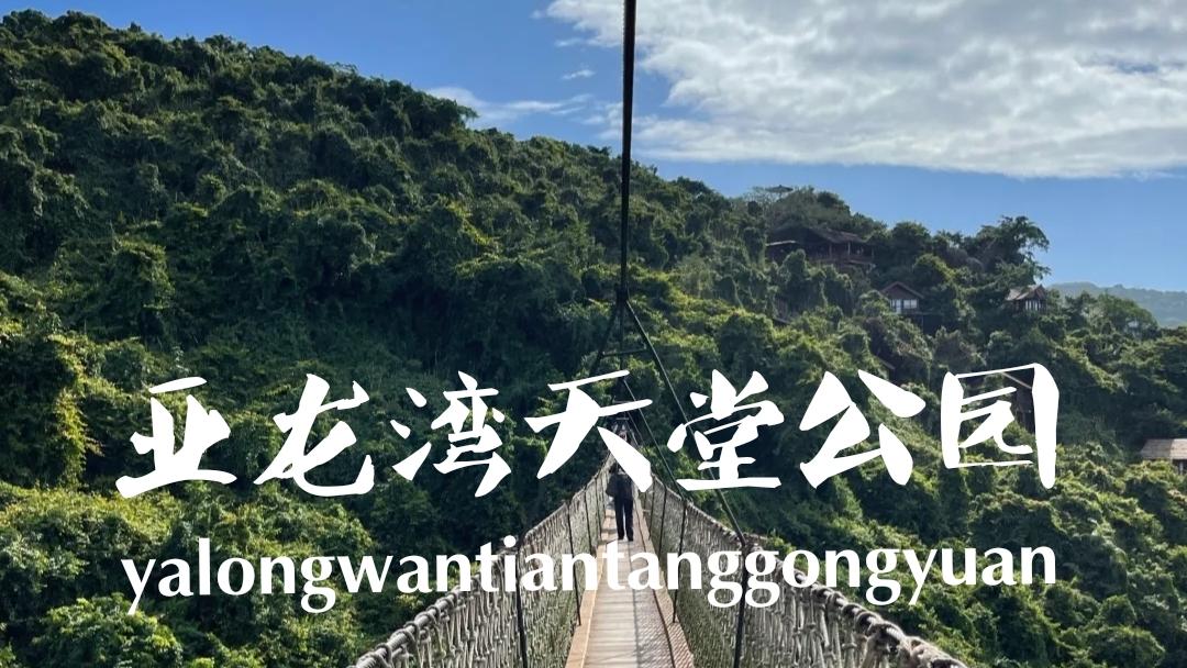 新疆维吾尔自治区|《三亚过冬季》亚龙湾天堂森林公园，体验棒极了
