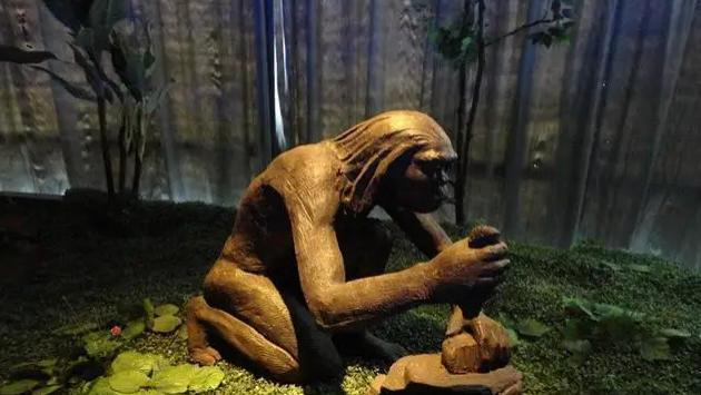 “从鱼到人”的演化，人类的起源，专家：已经找到证据