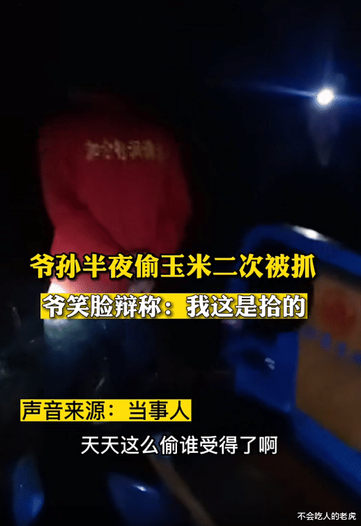 河北沧州:戴着头灯开着三轮车,爷孙俩半夜偷玉米,第二次偷被抓现行