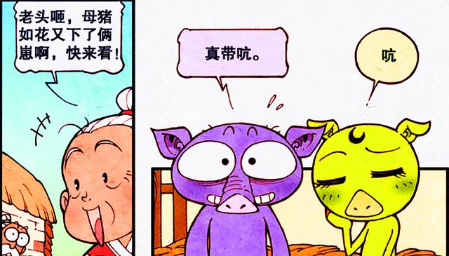 漫画|谁才是帝哥的“心头爱”？笑天意外发现真相，小外：真带劲！