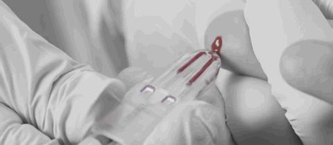 无锡|从科技之光到硅谷老千，“女版乔布斯”现形记