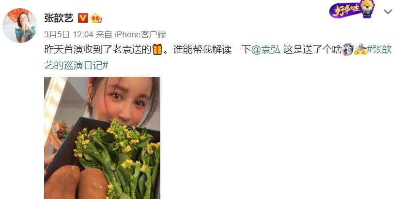 袁弘|看完张歆艺这些细节：才明白她二婚还能嫁袁弘，靠的不只是幸运