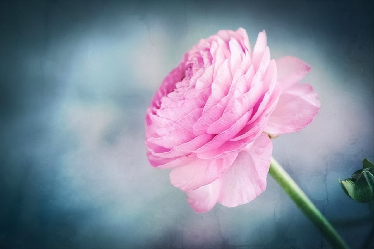 我们的婚姻|真正有远见的人，会在退休以前，逼自己完成这三件事