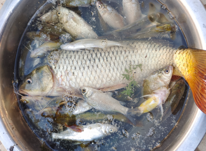 |针对新手钓鱼,鱼线好坏差距难以想象,切水性直接影响是否走漂