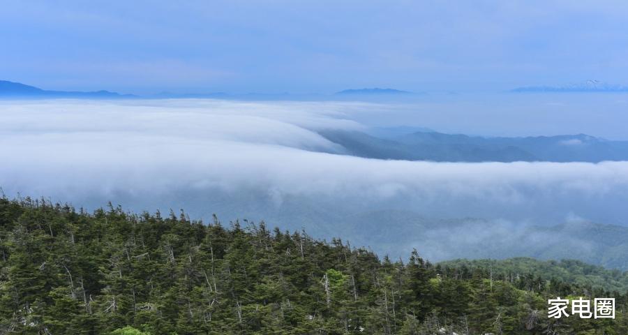 |价格仍然是家电产业的战略竞争手段