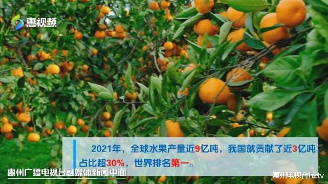 水果|国产水果唱“主角” 进口水果不再“高贵”