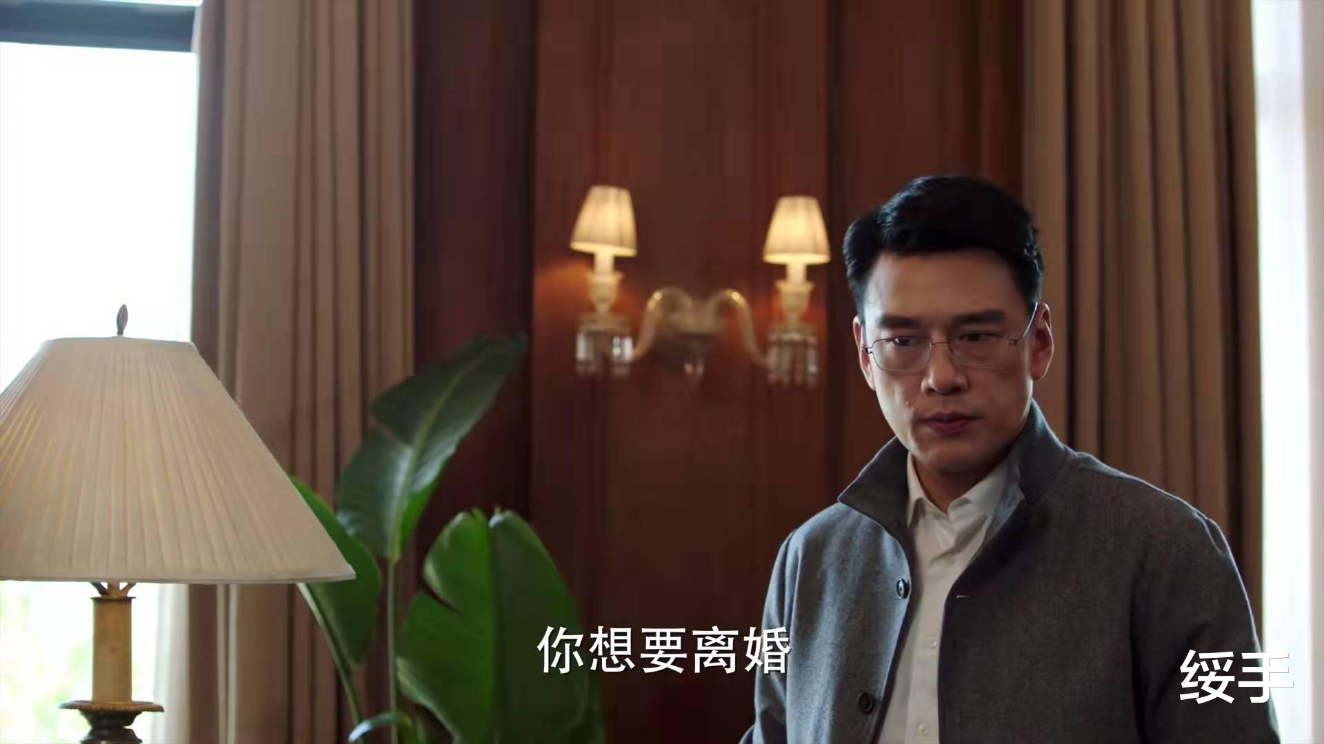 林庆昆|完美伴侣：职场精英PK家庭主妇，合作式婚姻，注定散场，遗憾！