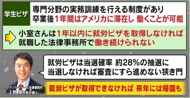 赘婿|具俊晔要带大S搬离豪宅,却买不起房?聊聊那些赘婿们吧……