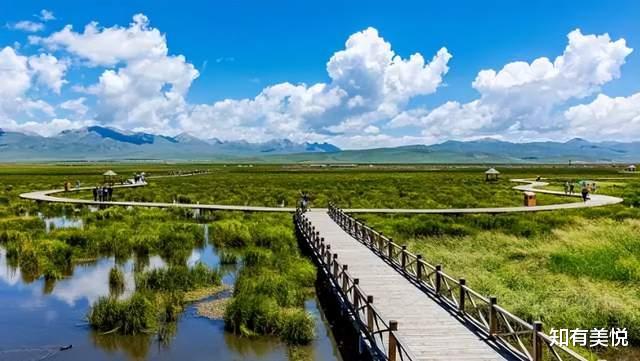 黑龙江|国内值得去的六大沼泽湿地,每个都美得与众不同,你去过几个呢?