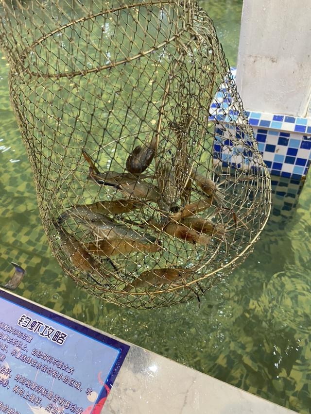 |新年新体验,新鲜又过瘾!