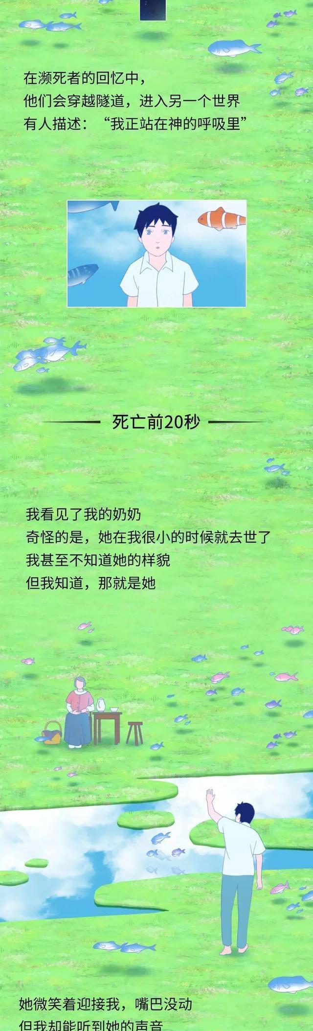 奇妙的旅程|死亡前的30秒，人会“看见”什么？漫画揭秘：一段奇妙的旅程