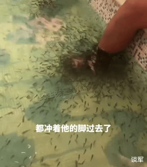 女子体验“小鱼啃脚”,男子突然也来体验,刚把一只脚伸进池子里