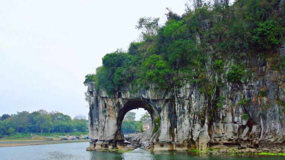 避暑胜地|桂林“神操作”：不但把树围起来收钱，还将象鼻山遮死不许偷看