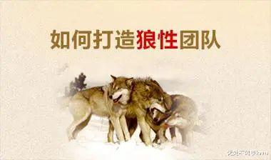 任正非|任正非：领导者到底要拿什么带出狼性团队！（建议收藏）