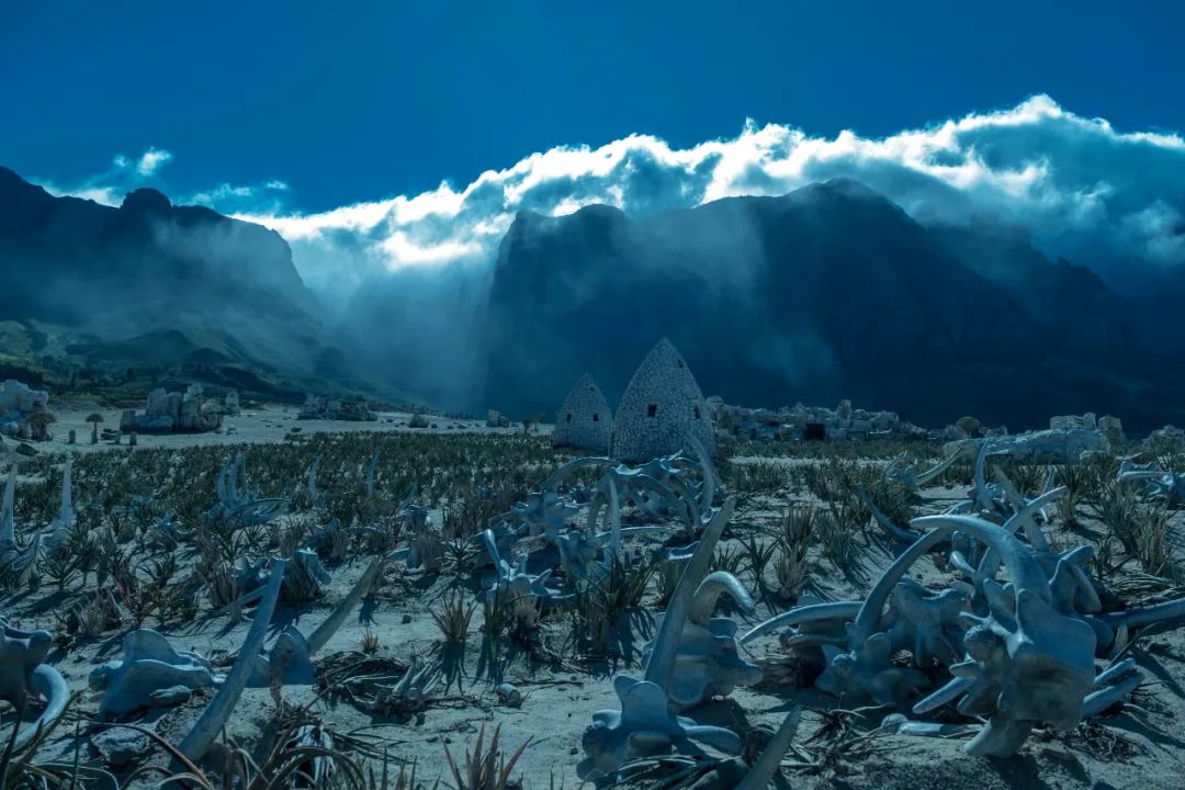 异星灾变|《异星灾变》，反转很多，脑洞太大！