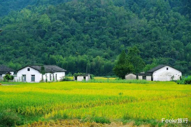 高峰|不是黄山！不是宏村！这个皖南小众秘境太惊喜，仿佛闯入绿野仙踪