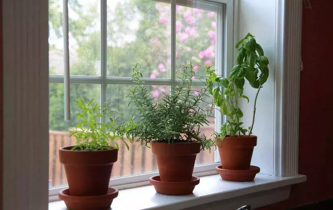 若你家工人装修飘窗时留了两个小耳朵，别验收了，直接给钱吧！