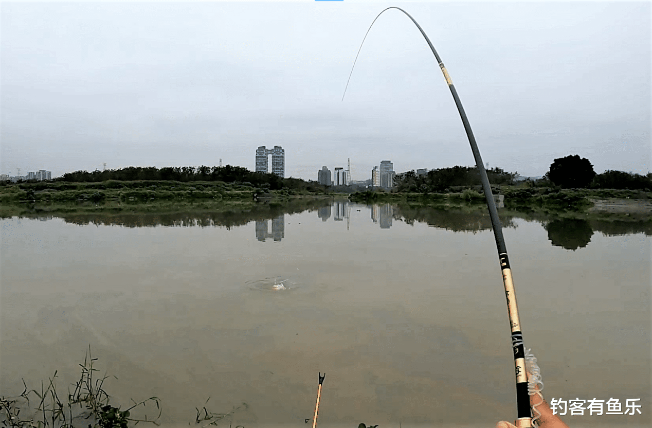 饵料|春季钓不到鲤鱼?从这三个方面入手试试