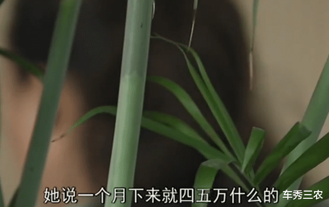 15年江苏少妇准备“下海”,会所派出男技师“验货”,真相如何