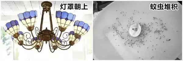 新房装修容易犯下的33条遗憾,我家踩中8条,如今入住苦不堪言!