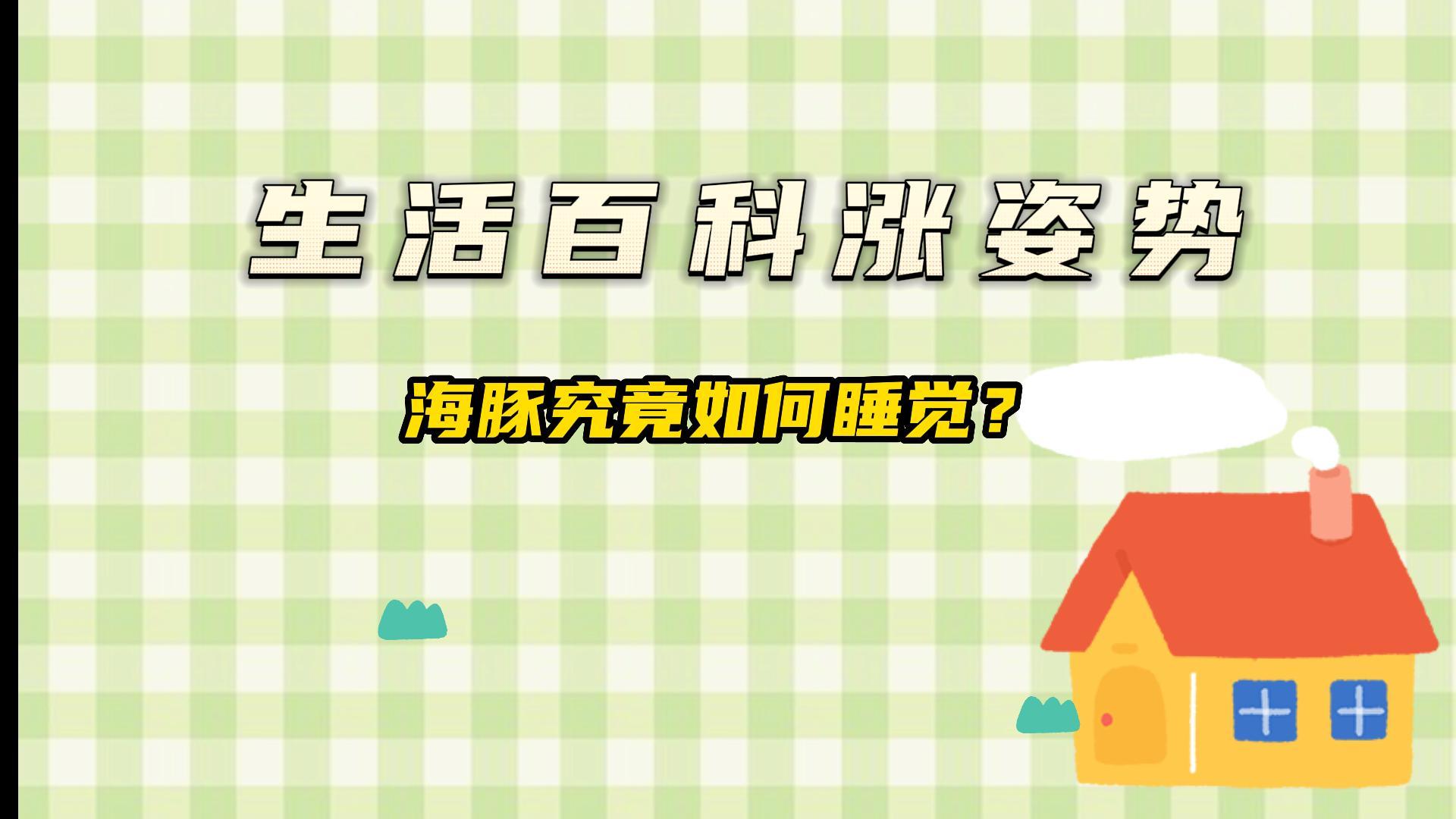海豚究竟如何睡觉?#生活百科#涨姿势#生活科普#科普小知识